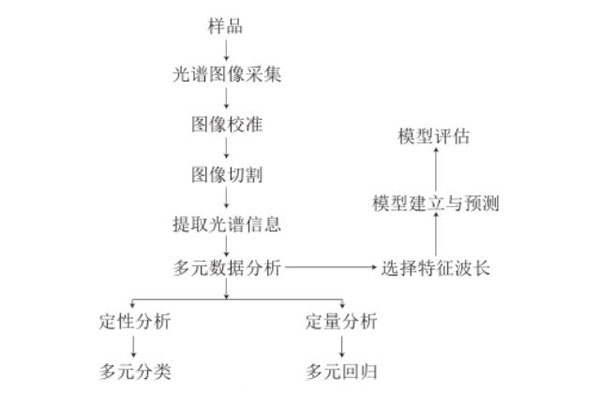 高光谱成像技术定性定量判别流程01