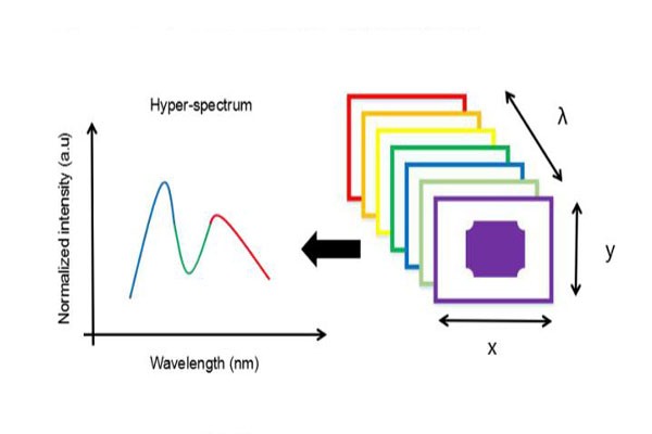 高光谱成像仪高光谱图像数据和光谱数据处理方法