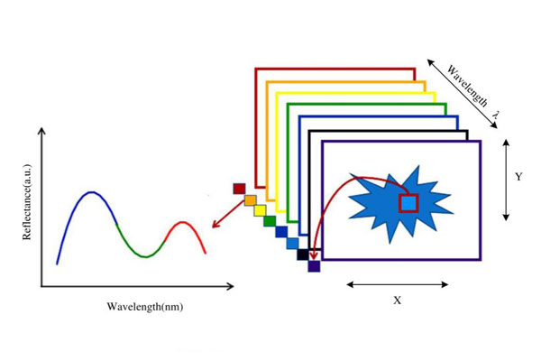 三维高光谱图像及光谱