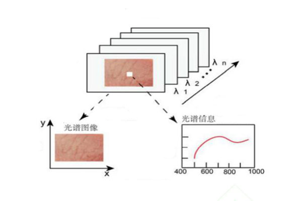 高光谱数据特征波长的提取及建模方法介绍