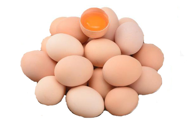 近红外高光谱成像仪在鸡蛋品种鉴别中的应用
