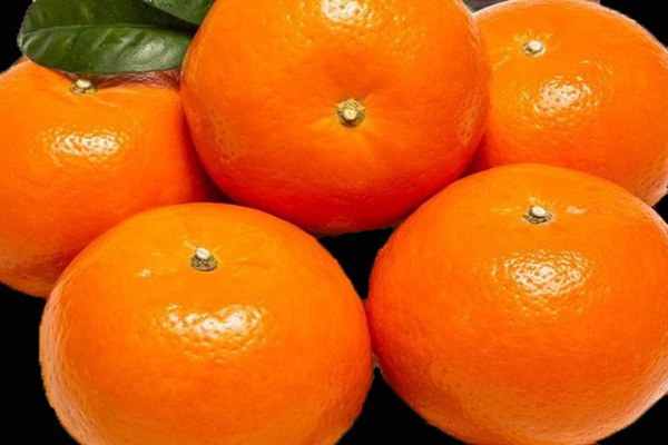 便携式小口径分光测色仪用于柑橘果皮色泽检测