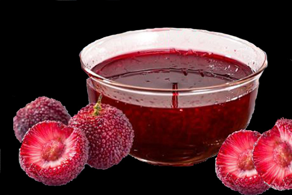 台式分光测色仪用于杨梅果汁色泽的检测