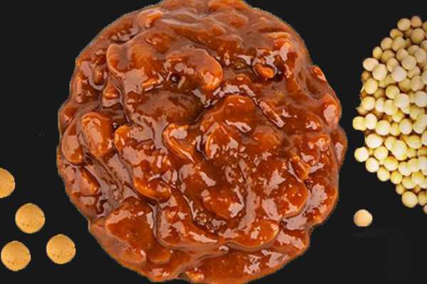 食品台式分光测色仪用于黄豆酱色泽检测分析