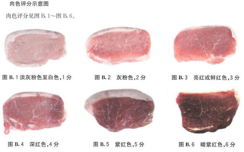 肉色评示意图