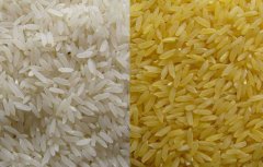 分光测色仪检测水稻生产质量