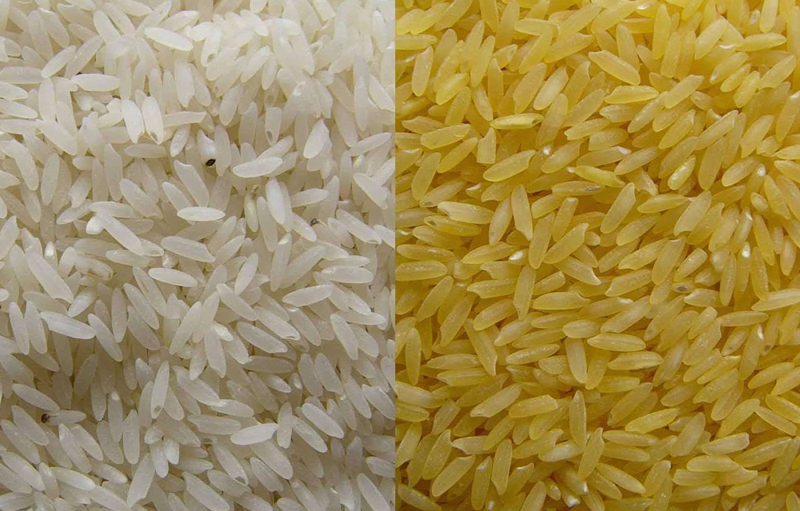 分光测色仪检测水稻质量