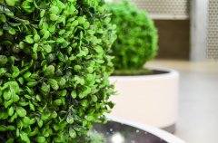 分光测色仪管控人造绿植颜色品质